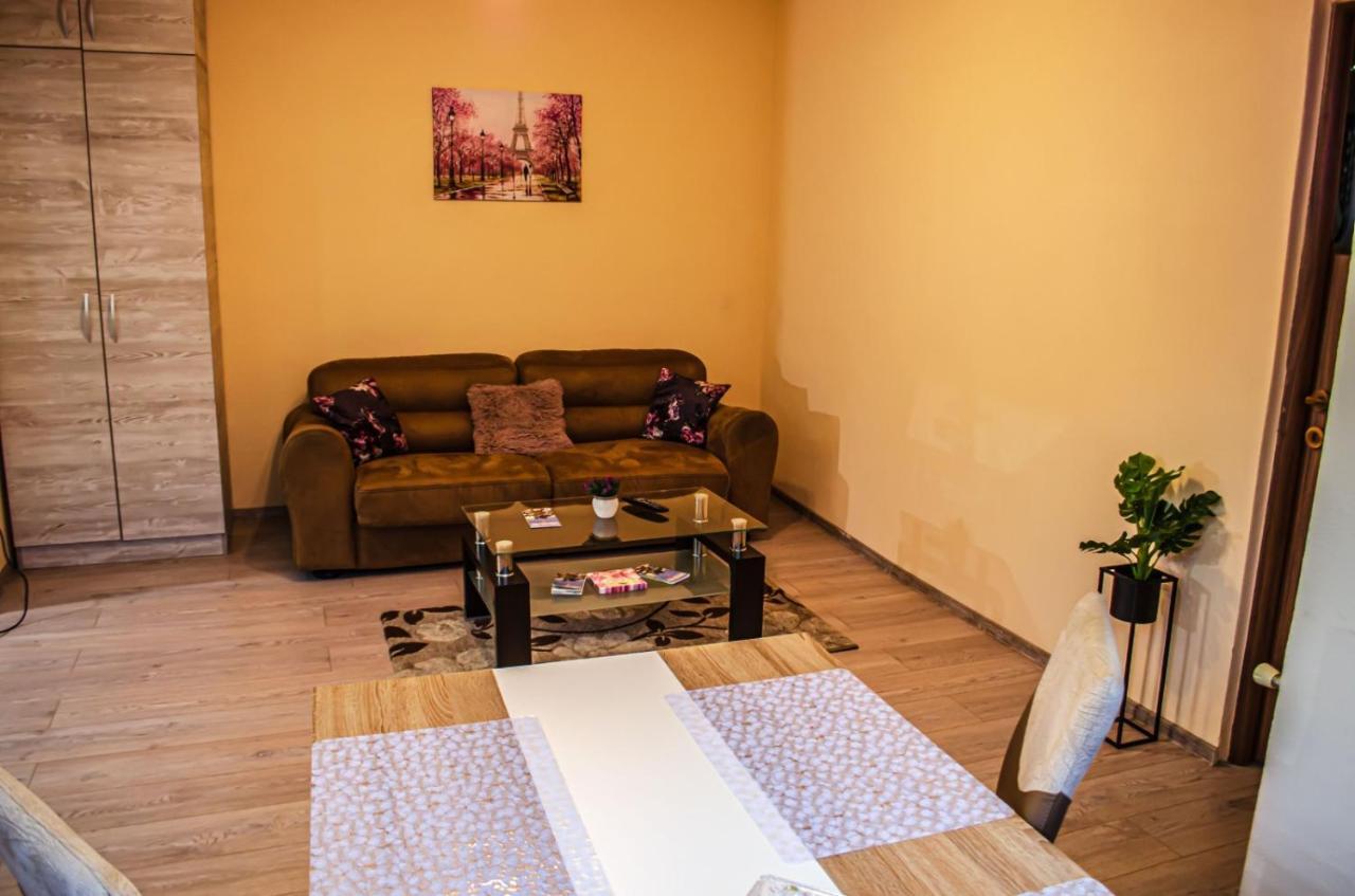 Schaessburg Apartment #1 سيفِسوارا المظهر الخارجي الصورة